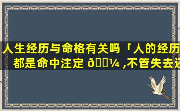 人生经历与命格有关吗「人的经历都是命中注定 🌼 ,不管失去还是得到」